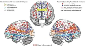 Machine learning prediction of human intelligence