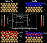 Magnesium protects tantalum, a promising material for making qubits 2