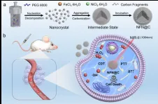 Magnetic catalysts enhance tumor treatment via electronic density regulation