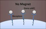 Magnetic medicine