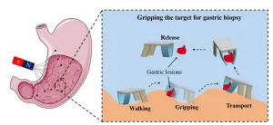 Magnetically actuated quadruped soft microrobot toward gastric biopsy