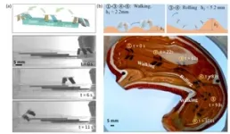 Magnetically actuated quadruped soft microrobot toward gastric biopsy 3