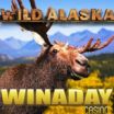 Majestic Arctic Wildlife Beckons Adventurous Slots Players in WinADay Casino's New 'Wild Alaska' Casino Game