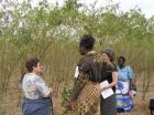 Malawis bountiful harvests and healthier children