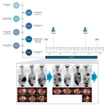 Management of recurrent gastrointestinal cancer with ripretinib and surgery