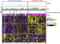 Many long COVID patients suffer from persistent inflammation, study finds