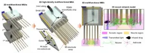 Mapping functional connectivities in 3D artificial brain model by analyzing neural signals