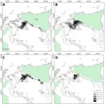 Mapping hotspots of undersized fish and crustaceans may aid sustainable fishing practices