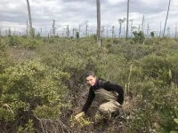 Mapping North Carolinas ghost forests from 430 miles up