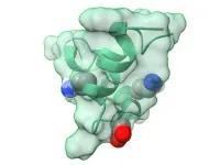 Mapping the coronavirus spike protein could provide insight into vaccine development