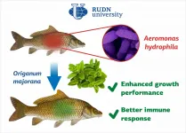 Marjoram supports health and weight gain in carps, say biologist from RUDN University