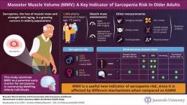 Masseter muscle volume might be a key indicator of sarcopenia risk in older adults