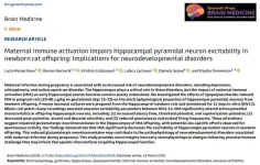 Maternal infection disrupts newborn brain development: A link to neurodevelopmental disorders