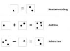 Math ability requires crosstalk in the brain