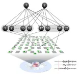 Mathematical theory predicts self-organized learning in real neurons