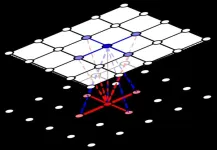 Mathematicians model a puzzling breakdown in cooperative behaviour