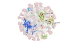 Mathematicians use AI to identify emerging COVID-19 variants