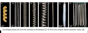 Mechanical engineers develop new high-performance artificial muscle technology