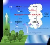 Mechanism deciphered: How organic acids are formed in the atmosphere