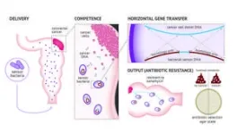 Mechanism underlying bacterial resistance to the antibiotic albicidin revealed 3