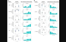 Mechanistically based blood proteomic markers in the TGF-β pathway stratify risk of HCC in patients with cirrhosis