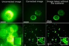 Megapixel fluorescence microscopy through scattering layers made simple