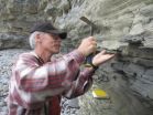 Megavolcanoes tied to pre-dinosaur mass extinction