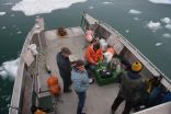 Melting glaciers create noisiest places in ocean, study says