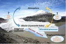 Melting High Mountain Asia glaciers are revealed as a potential source of greenhouse gases