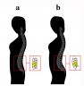 Mens preference for certain body types has evolutionary roots