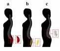 Men's preference for certain body types has evolutionary roots 2