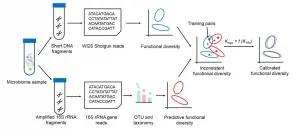 Meta-Apo supports cheaper, quicker microbiome functional assessment