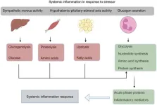 Metabolic dysregulation and metabolite imbalances in acute-on-chronic liver failure: Impact on immune status