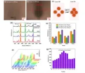 Metal ion implantation and laser direct writing dance together: constructing never-fading physical colors on lithium niobate crystals 2