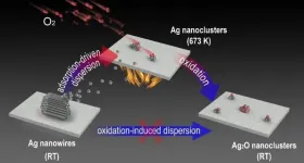 Metallic state of Ag nanoclusters in oxidative dispersion identified in situ