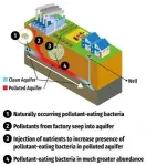 Microbes found to destroy certain ‘forever chemicals’ 3