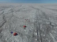 Microbes fuelled by wind-blown mineral dust melt the Greenland ice sheet