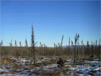 Microbial awakening restructures high-latitude food webs as permafrost thaws 2