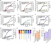 Microbial production of natural rainbow colorants