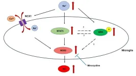 Microglial responses to hypernatremia: new insights into brain health