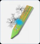 MicroLED neural probe for neuroscience