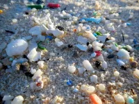 Microplastic sizes in Hudson-Raritan Estuary and coastal ocean revealed