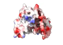 Microscopic medicines unlock new treatments for MND and Alzheimer’s 2