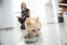 Milk prebiotics are the cats meow, Illinois research shows