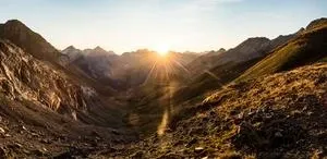 Millions of insects migrate through 30-metre Pyrenees pass 2