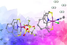 Mimicking biological enzymes may be key to hydrogen fuel production