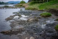 Miocene period fossil forest of Wataria found in Japan 2