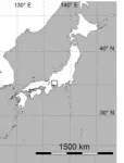 Miocene period fossil forest of Wataria found in Japan 3