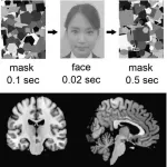 Mirror, mirror...viewing your own face, even subconsciously, is rewarding