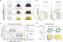 Mitigating electrode-level heterogeneity using phosphorus nanolayers on graphite for fast-charging batteries 2